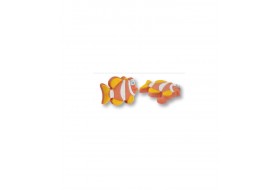 Gałka meblowa H150 rybka pomarańczowa